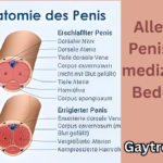 Penis Bilder