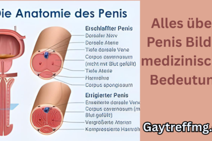 Penis Bilder