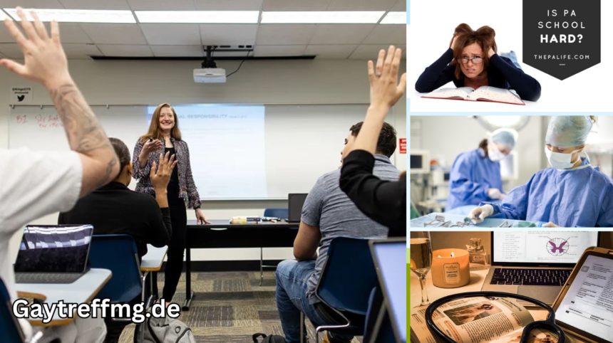 physician assistant studium